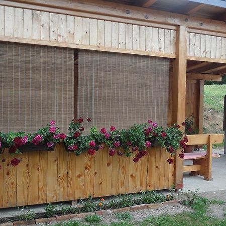 Apartment Rendulic Rakovica Luaran gambar