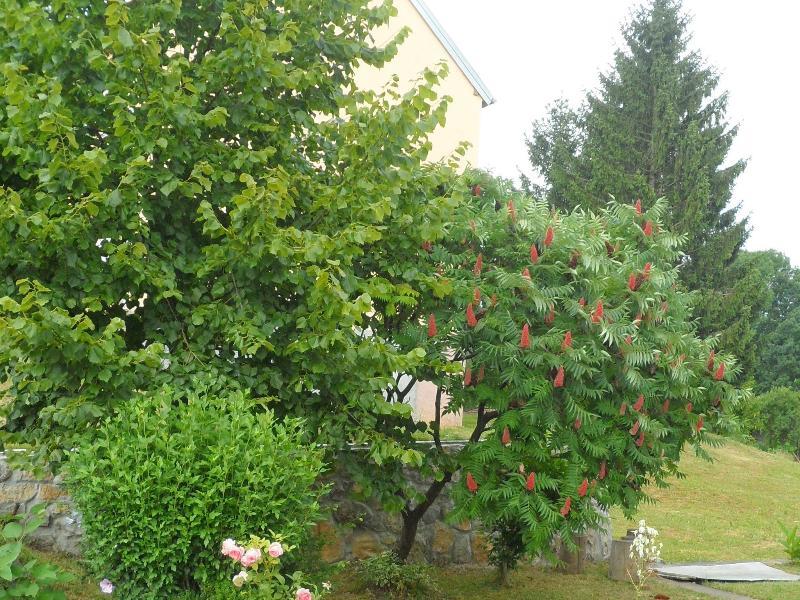 Apartment Rendulic Rakovica Luaran gambar
